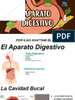 El aparato digestivo y sus partes