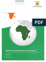 Profils Des Economies Africaines