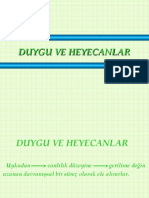 Duygu Ve Heyecanlar