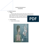 PNEUMONIA-LAPORAN