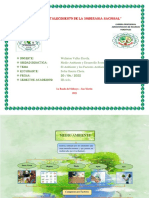 Sofia Guerra Chota - Mapa Conceptual Medio Ambiente