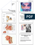 Otorrino 2 Completo Usamedic 2017 Dra Hidalgo Alumno PDF