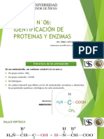 Práctica N°06 Proteínas y Enzimas