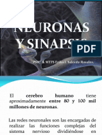 Sinapsis y Tipos de Sinapsis