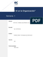 El Rol de SI en La Organización