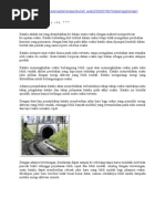 Download Apakah Katalis Itu Trk2 by Listi Ana SN57709650 doc pdf