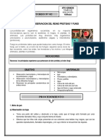 Laboratorio Reino Protista y Fungi