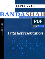 1.1 Data Representation