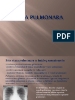 Staza Pulmonara