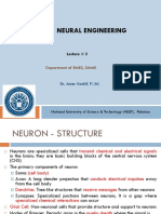 BMES 814: Neural Engineering