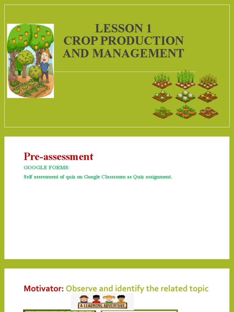 Crop Production and Management Overview | PDF | Agriculture | Wheat