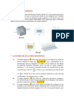 Campos Magneticos 09 10