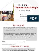 TELENEUROPSICOLOGIA