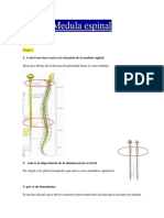 Anato 2 Parcial