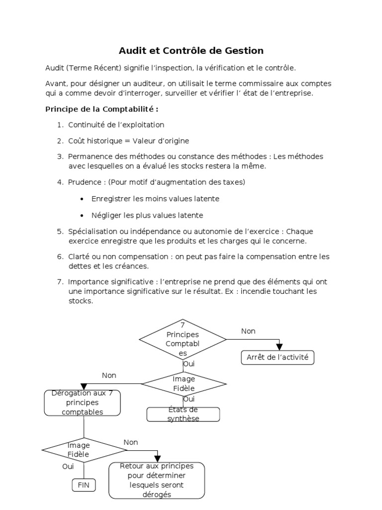 Audit et Contrôle de Gestion : Principes et Normes | PDF | Contrôle ...
