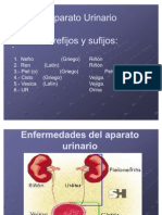 Enfermedades Del Aparato Urinario