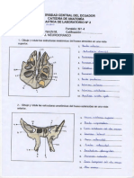 Andino Geovanna - Informe 2