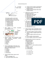 An-Nahal Biologi Kelas Xii