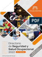 Directorio de Seguridad y Salud en El Ocupacional 2022