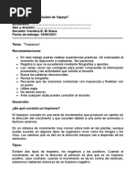 PDF Documento