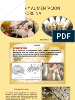 Tema Vi Nutricion y Alimentacion Porcina