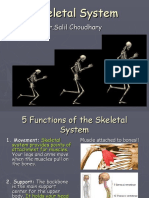 Skeletal System