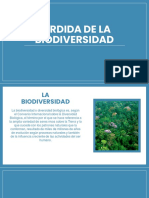 Perdida de La Biodiversidad