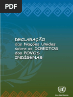 Direitos dos Povos Indígenas