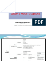 III. Lesión y Muerte Celular