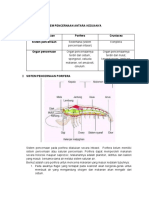 Pencernaan Porifera Dan Crustacean