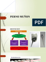 Perno Muñon