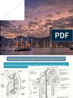 Pres Glomerulopatias