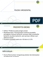 PATOLOGI UROGENITAL 1