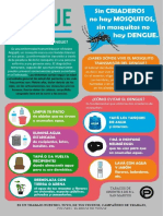 Poster Del Dengue