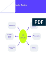 Mapa Mental Los Tiburones