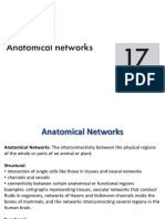 Anatomical Networks
