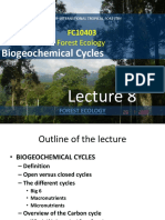 Forest Ecology: Biogeochemical Cycles