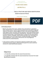 Lab Practical 2 - Manual - FK10402 Wood Science - Online