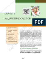 Human Reproduction Systems
