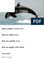 L' Orca