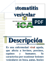 3estomatitis Vesicular