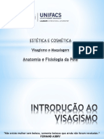 Aula 3 - Introdução Ao Visagismo