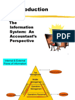 The Information System: An Accountant's Perspective