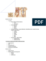 NMS Lez 1 PDF