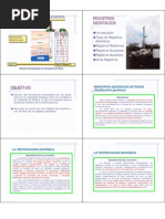 Clase 36 (Registros geofísicos)