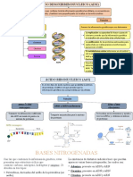 Biología (Adn y Arn)