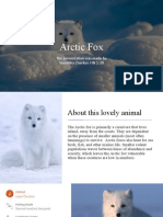 Arctic Fox: The Presentation Was Made by Veronika Cherkun Fin 1-20