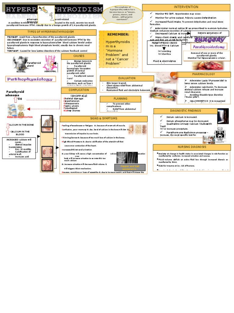 Parathyroid-Related Hypercalcemia Overview | PDF | Glands | Organ (Anatomy)