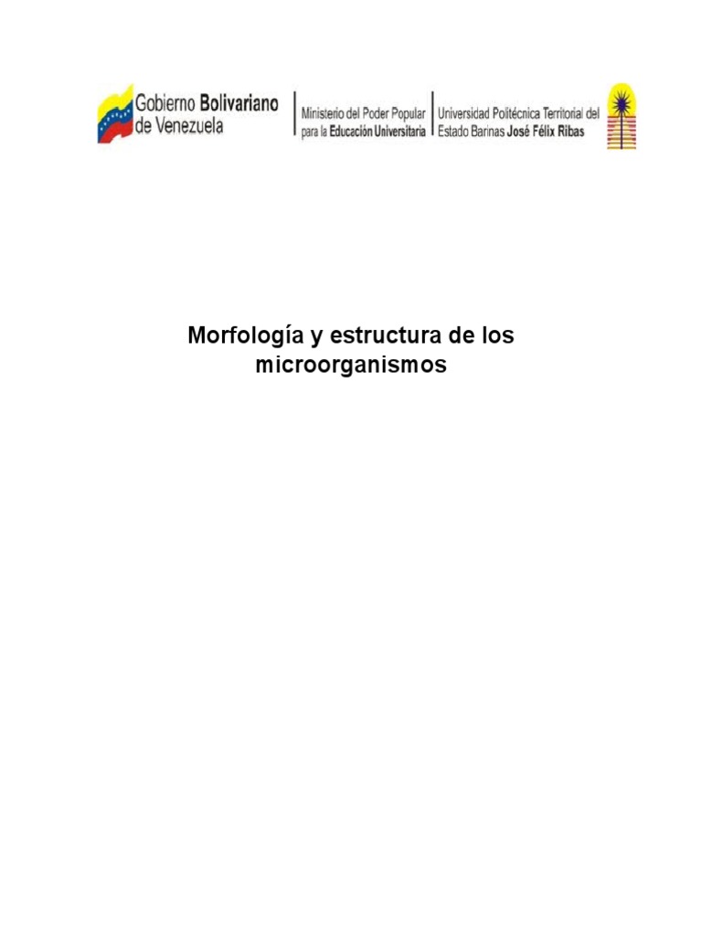 Estructura y morfología de bacterias | PDF | Las bacterias | Membrana ...