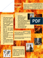 Consequências e prevenção de incêndios florestais